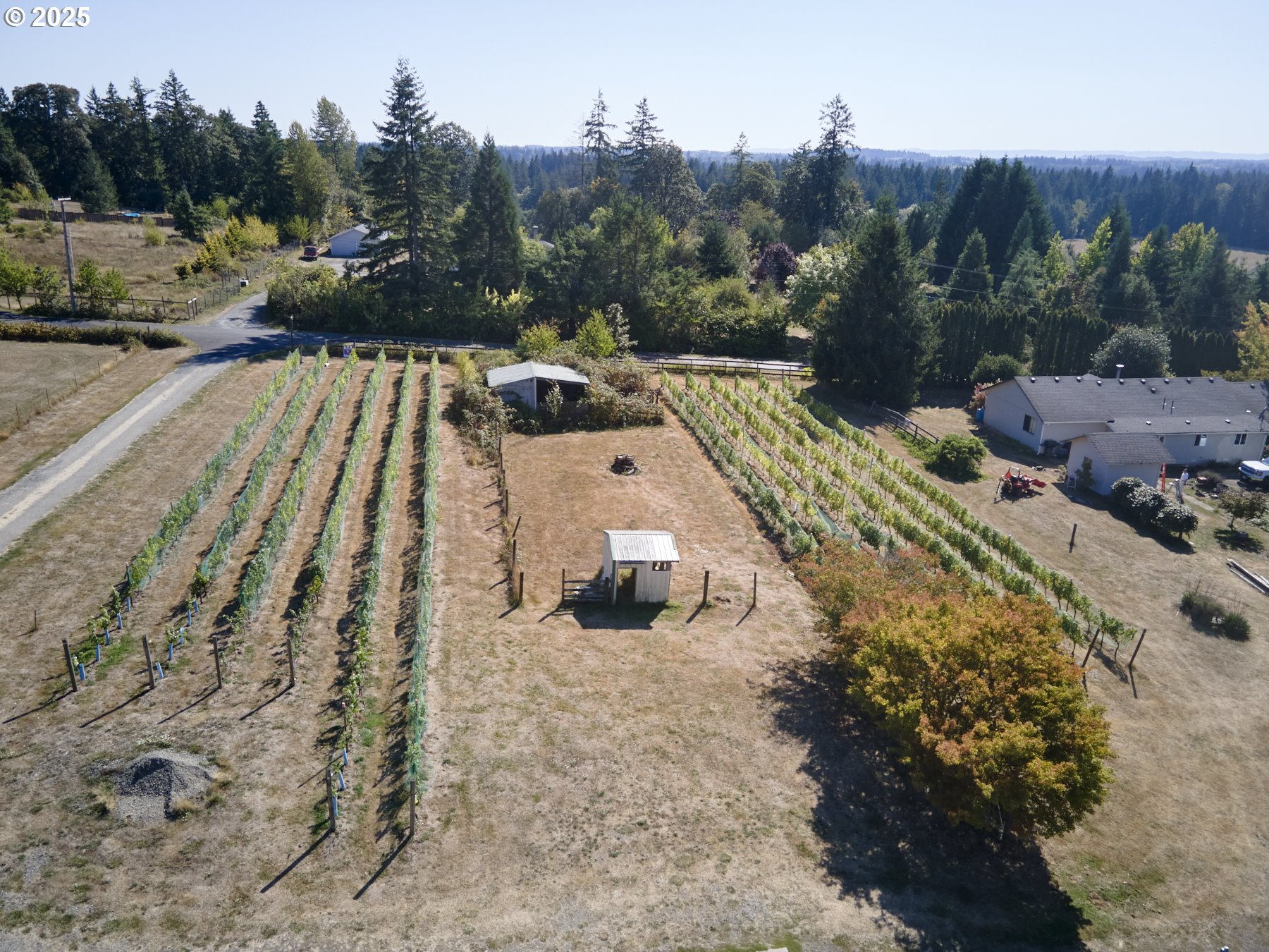 11700 Northeast 279th Street Battle Ground, WA 98604 - Photo 42 of 48 Acreage