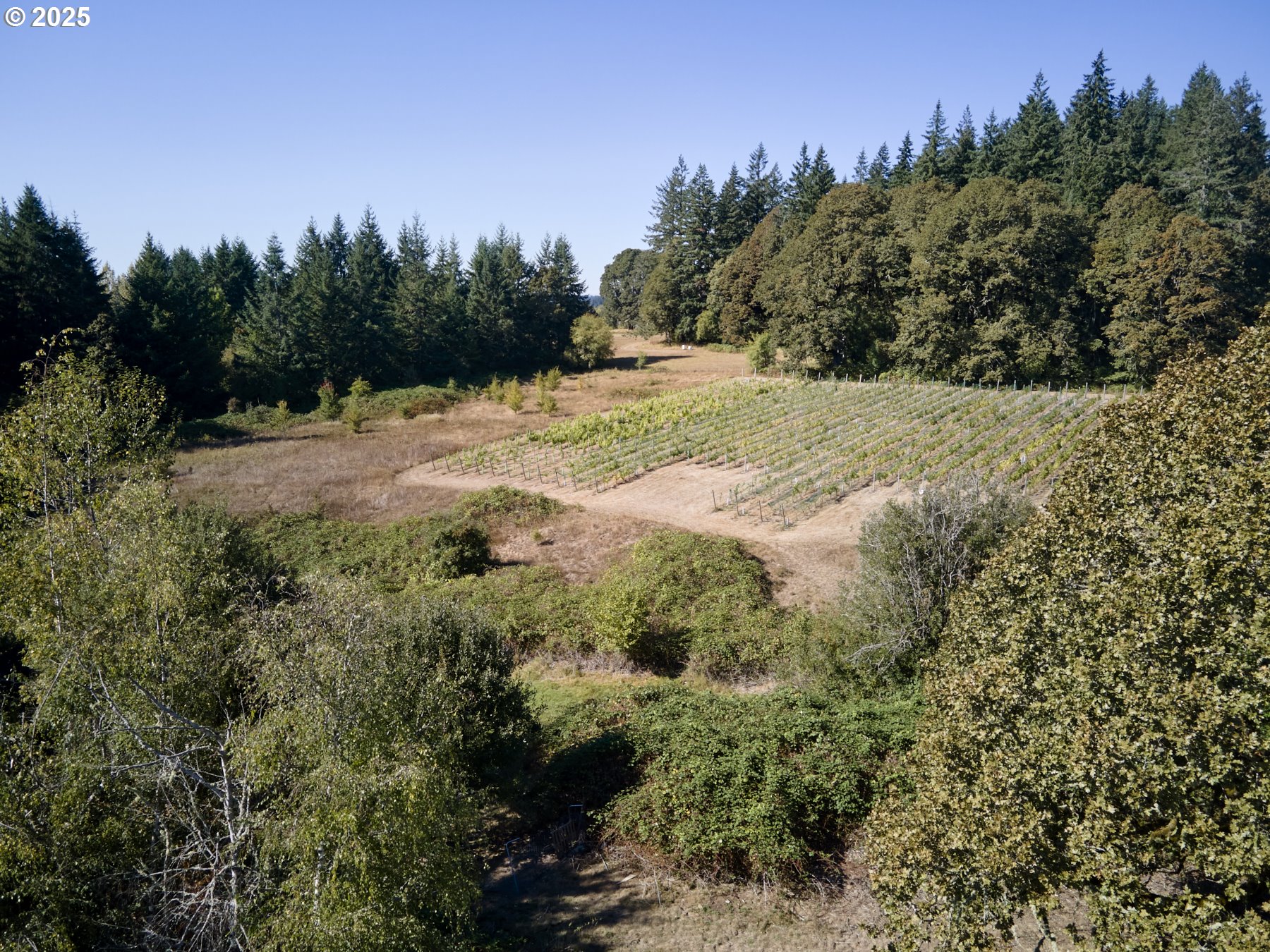 11700 Northeast 279th Street Battle Ground, WA 98604 - Photo 43 of 48 Acreage
