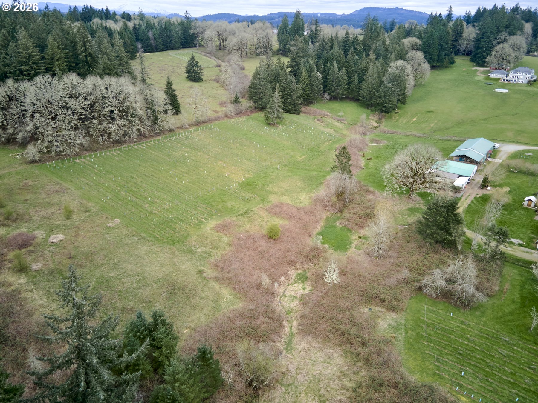 11700 Northeast 279th Street Battle Ground, WA 98604 - Photo 45 of 48 Acreage
