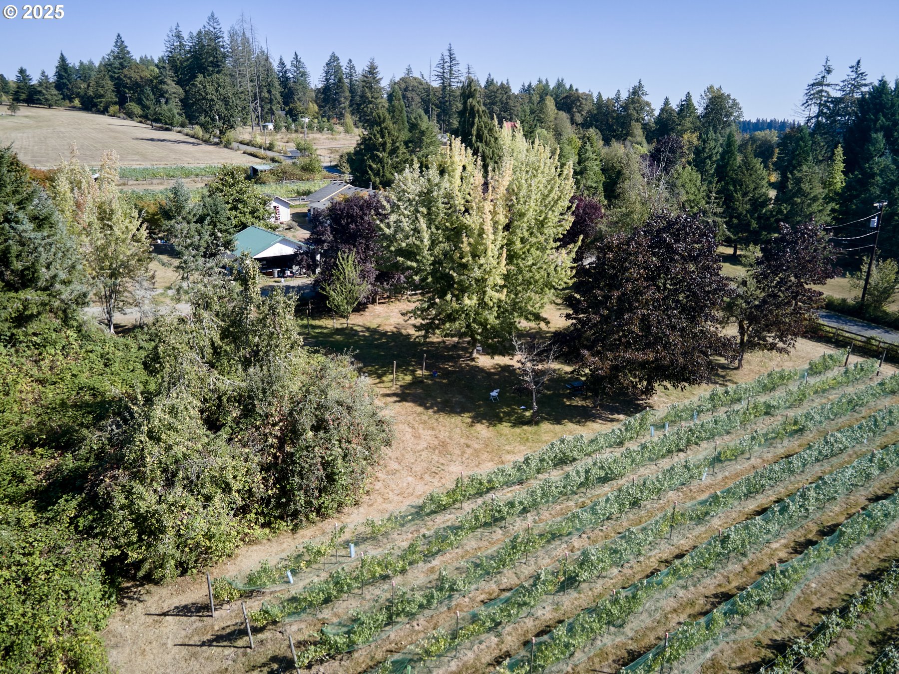 11700 Northeast 279th Street Battle Ground, WA 98604 - Photo 8 of 48 Acreage
