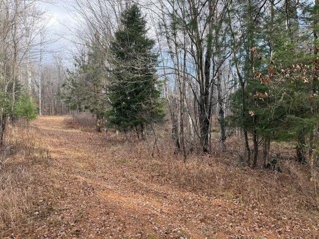 188 West Procunier Road Mikado, MI 48745 - Photo 12 of 20