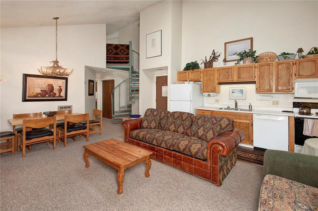 100 Wild Irishman Road, Unit 1117 Keystone, CO 80435 - Photo 2 of 20 Gallery Image 2