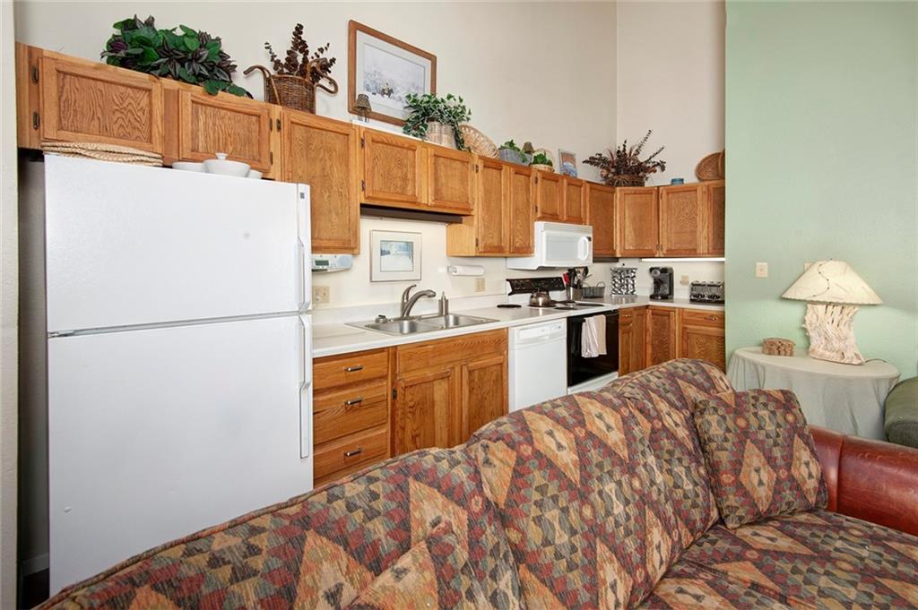 100 Wild Irishman Road, Unit 1117 Keystone, CO 80435 - Photo 3 of 20 Gallery Image 3