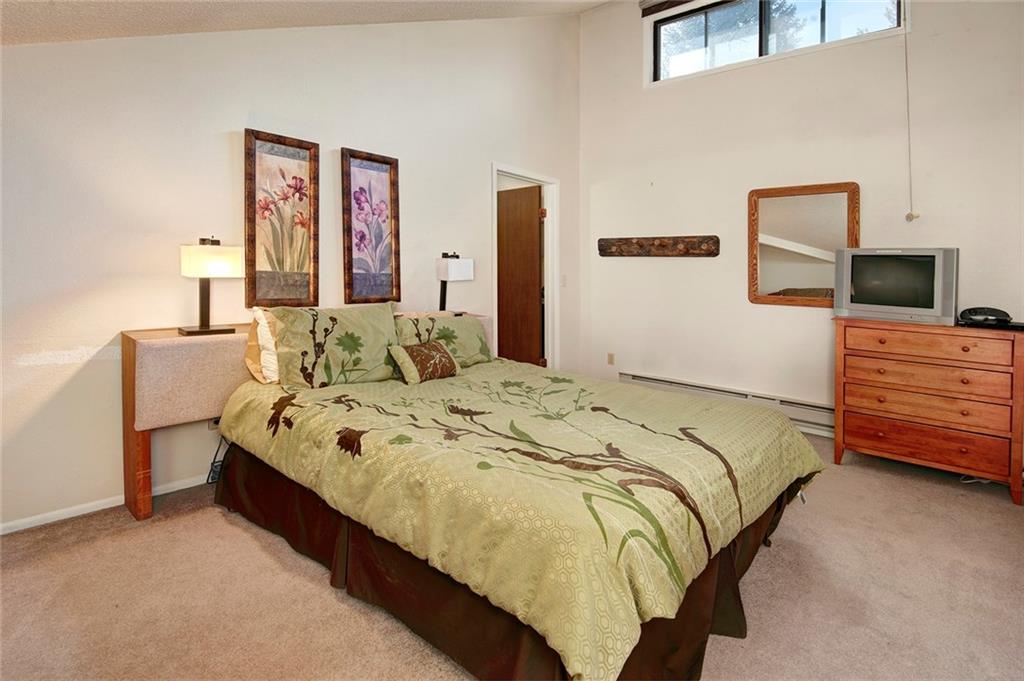 100 Wild Irishman Road, Unit 1117 Keystone, CO 80435 - Photo 8 of 20 Gallery Image 8