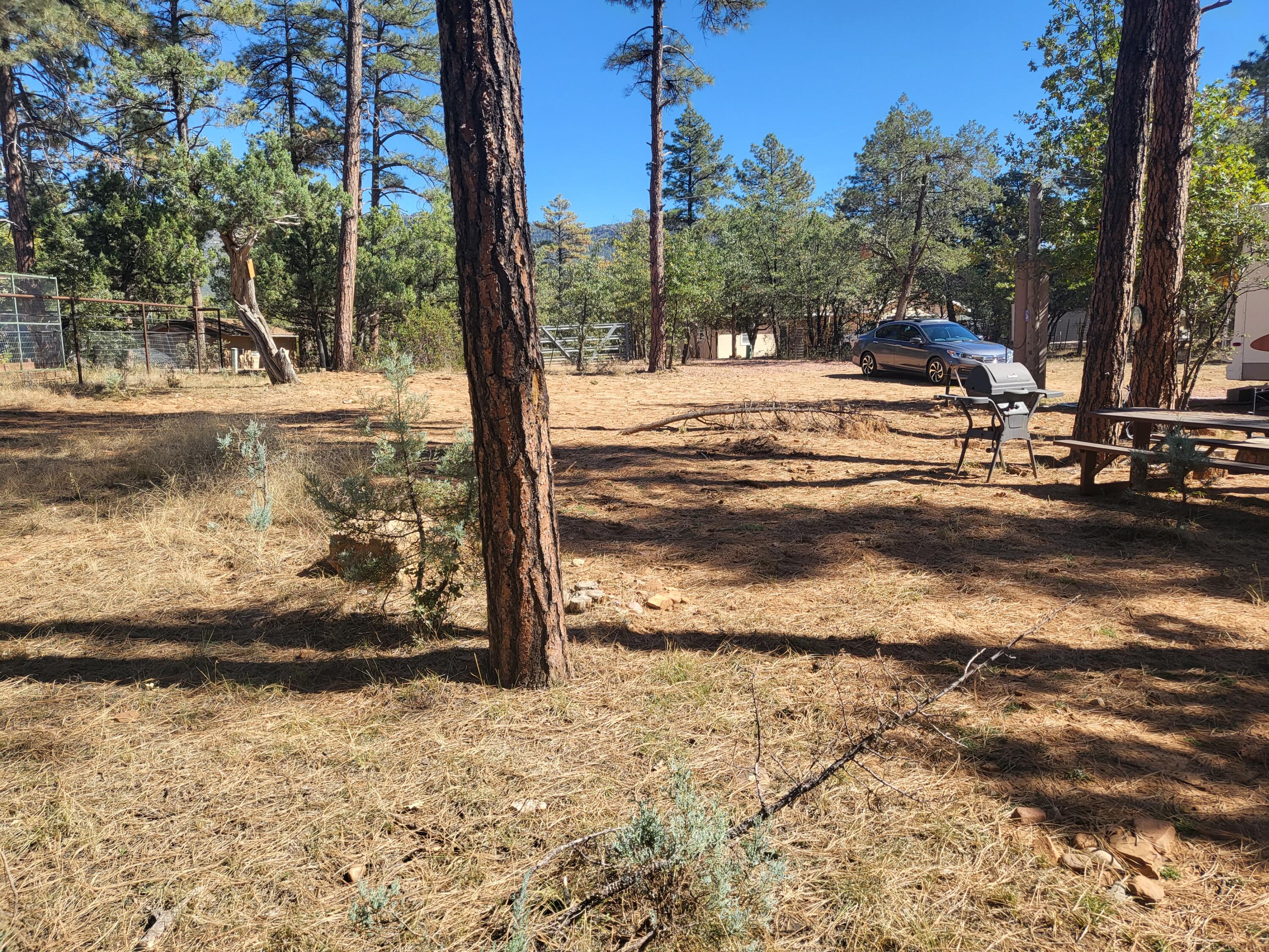 3962 Pine Road Pine, AZ 85544 - Photo 10 of 35 Gallery Image 10