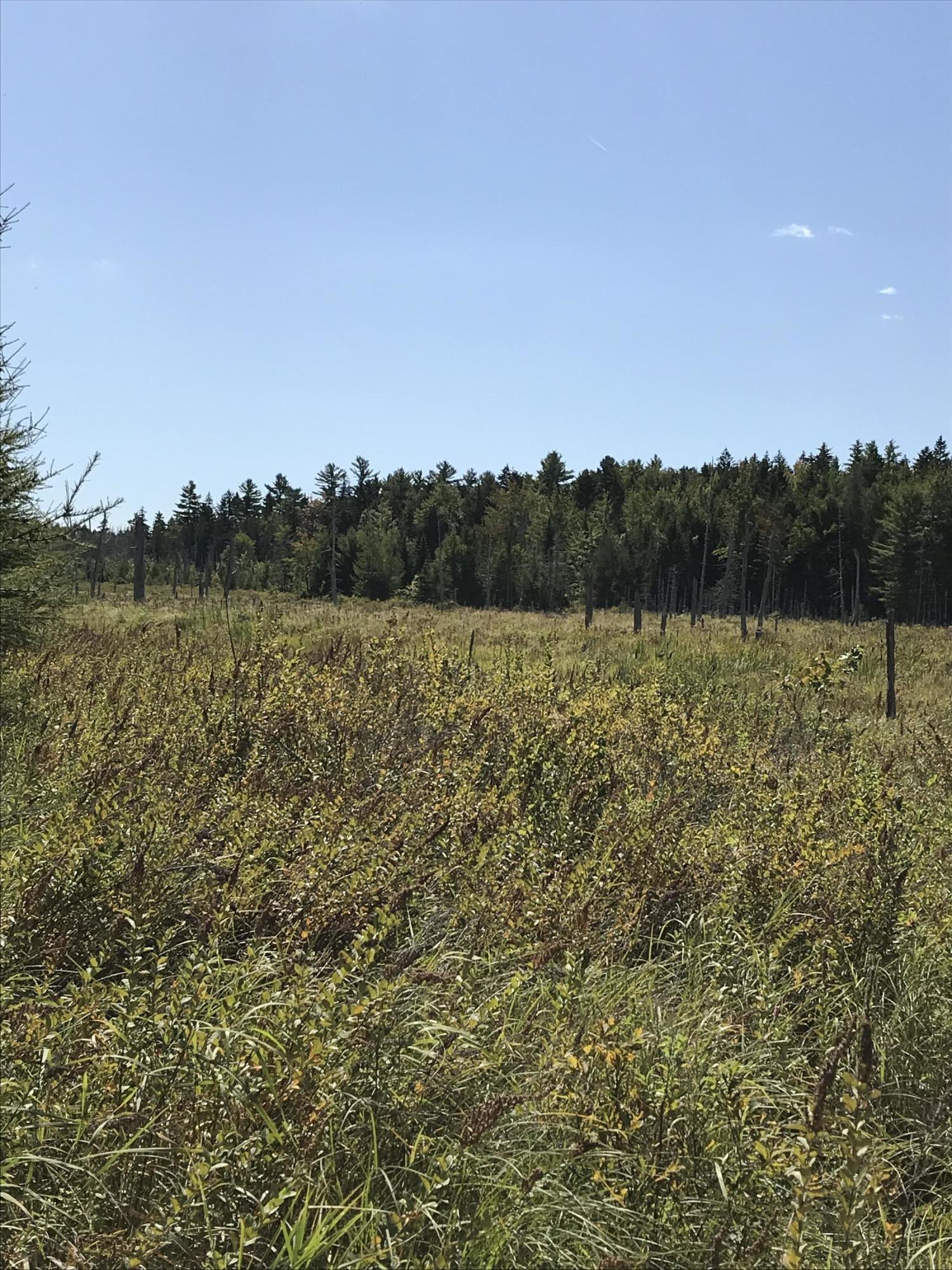 0 Front Ridge Road Penobscot, ME 04476 - Photo 10 of 14 Near Stream
