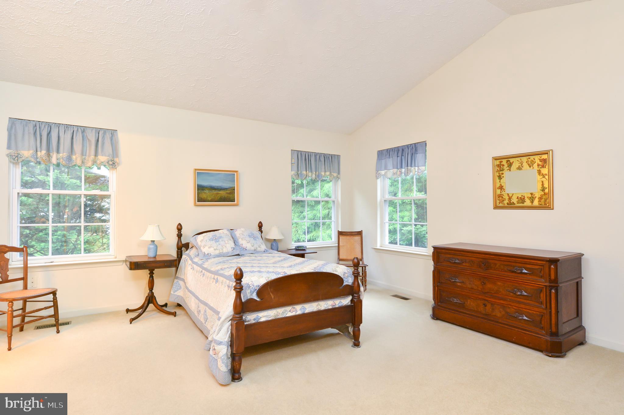 14 Keppels Mill Court Rising Sun, MD 21911 - Photo 20 of 27 Master bedroom with vaulted ceiling.