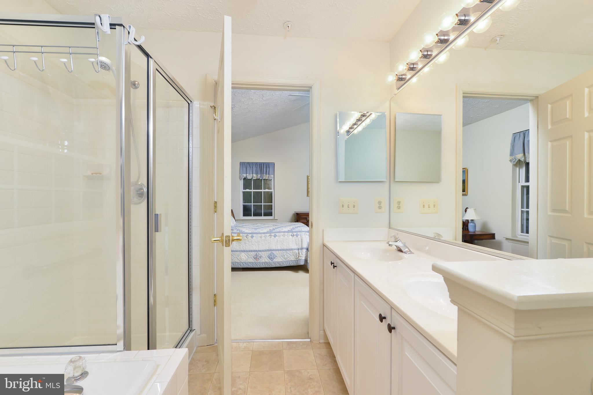 14 Keppels Mill Court Rising Sun, MD 21911 - Photo 23 of 27 Master bath with double sinks and soaking tub.