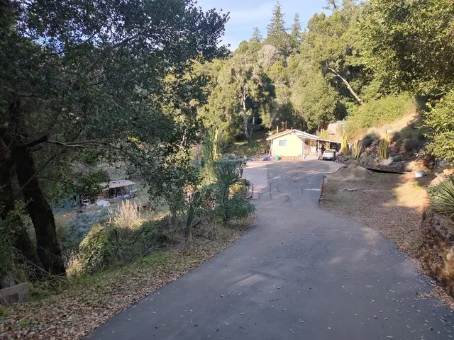 a view of a yard with a tree