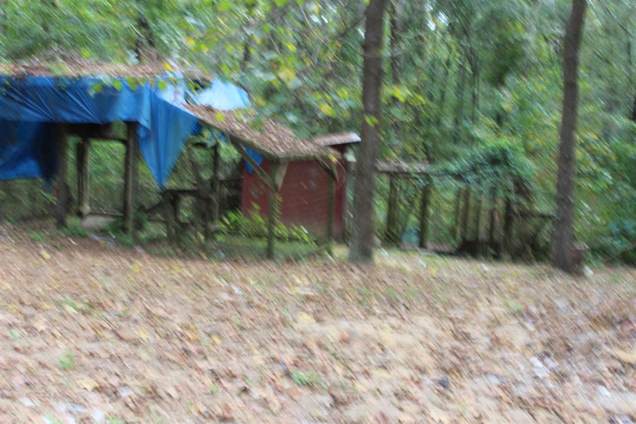760 Backloop Road Havana, FL 32333 - Photo 7 of 11 Gallery Image 7