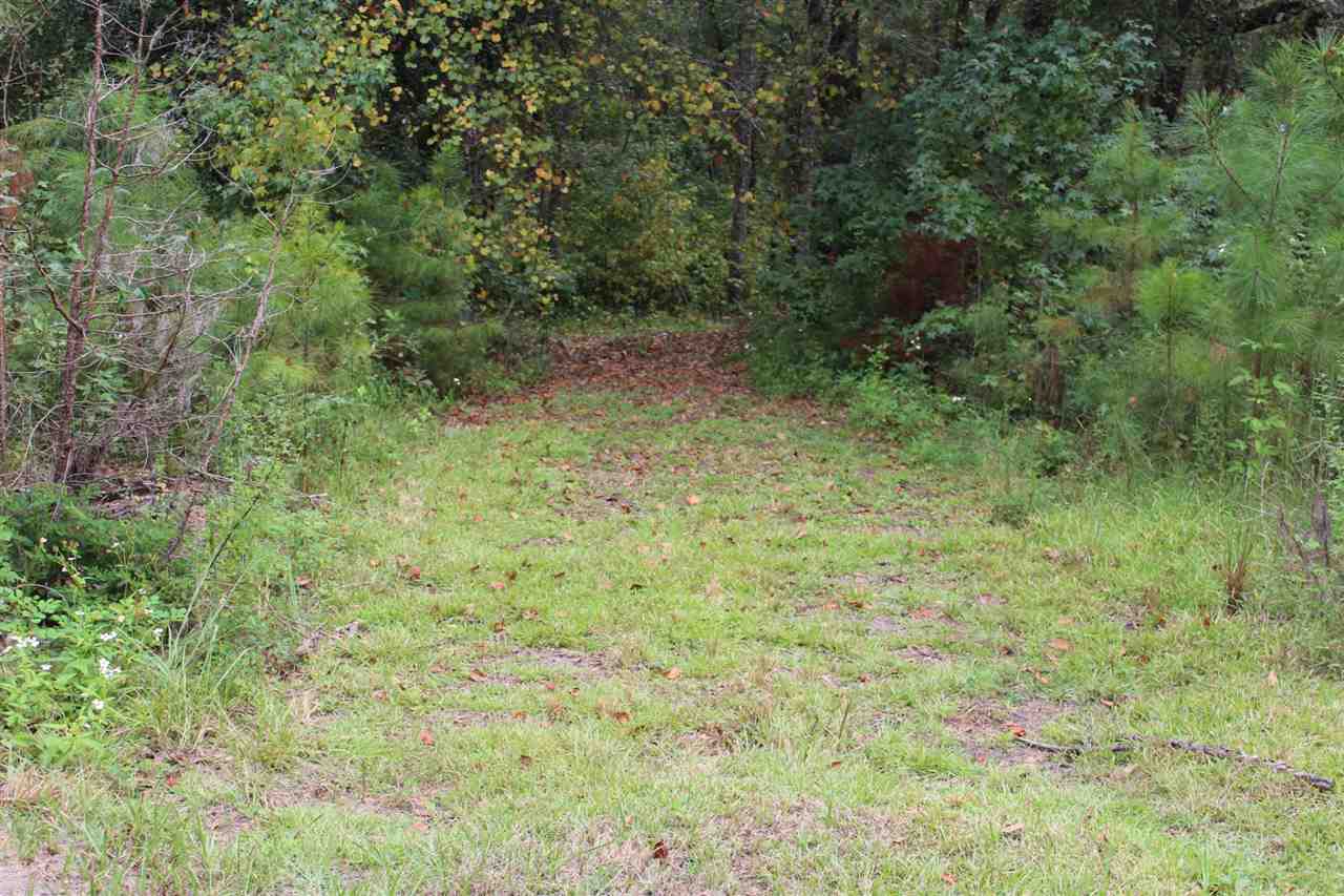 760 Backloop Road Havana, FL 32333 - Photo 8 of 11 Gallery Image 8