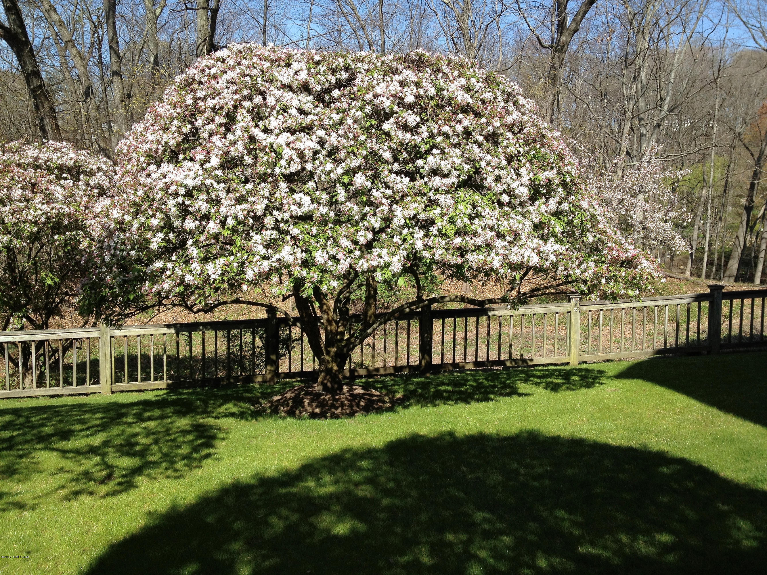 333 Palmer Hill Road, Unit 3E Riverside, CT 06878 - Photo 26 of 34 a view of house with yard and green space