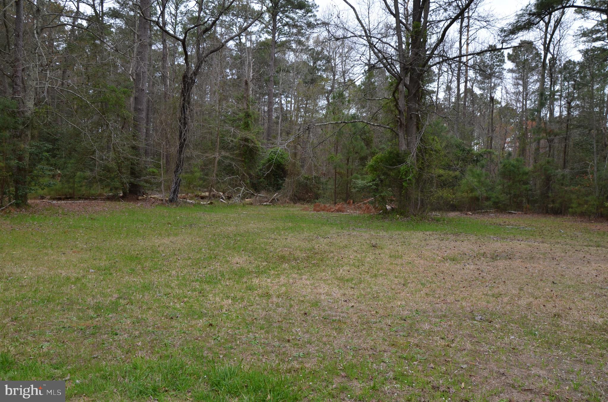 346-347 North Glebe Road Montross, VA 22520 - Photo 2 of 11 Gallery Image 2