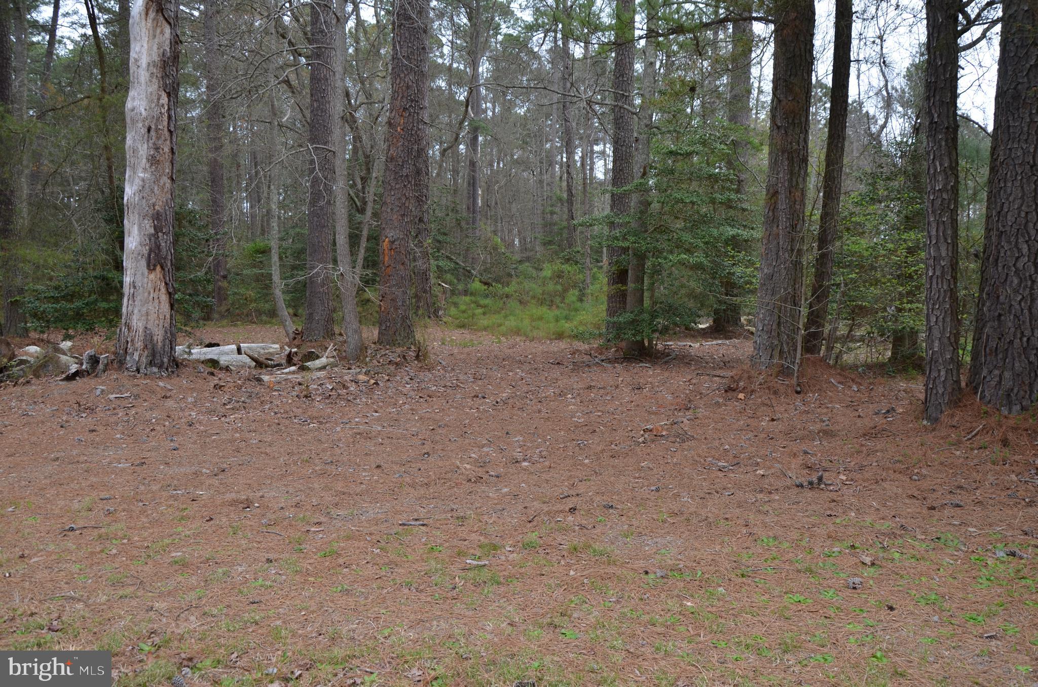 346-347 North Glebe Road Montross, VA 22520 - Photo 3 of 11 Gallery Image 3