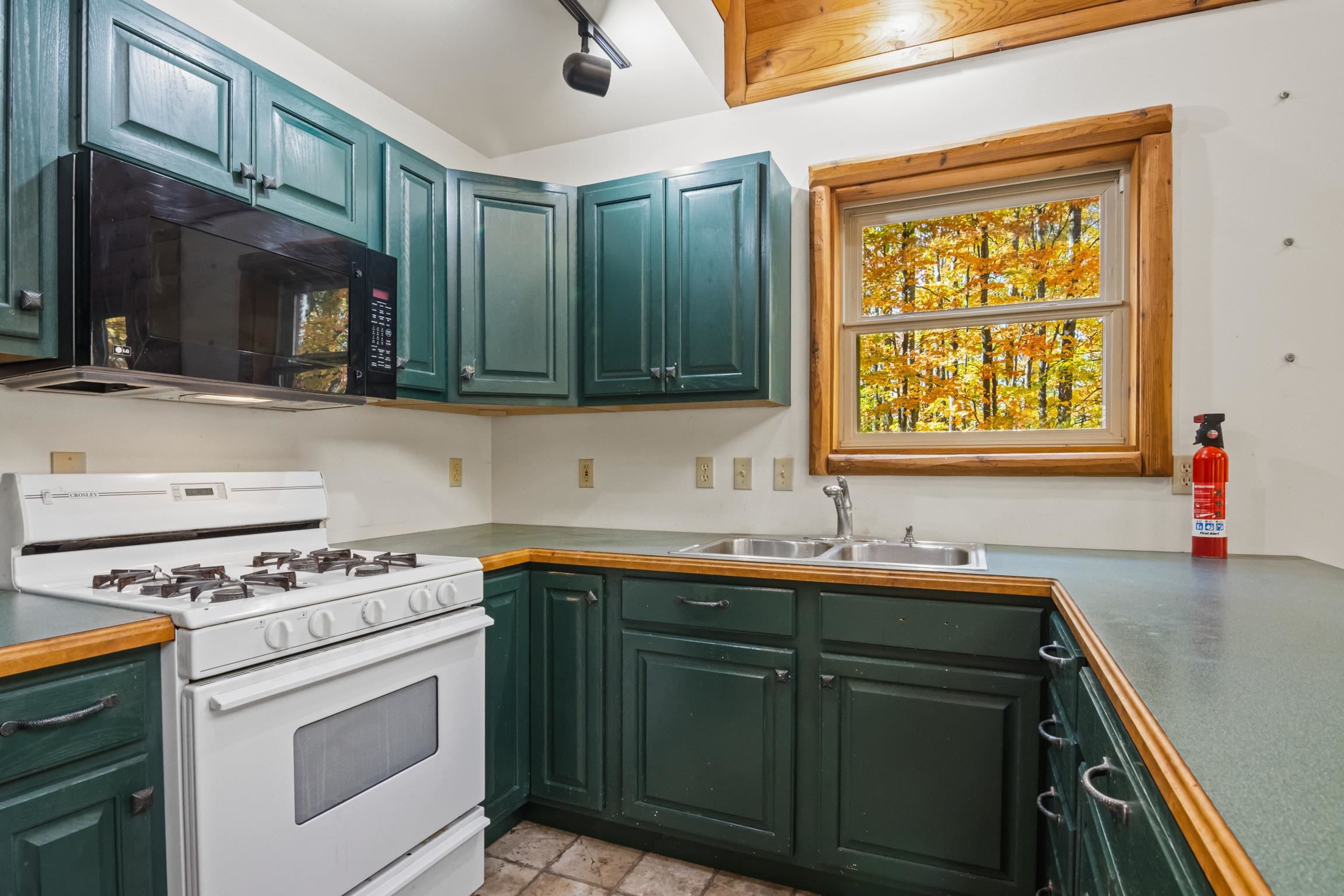 8536 Maple Ridge Mancelona, MI 49659 - Photo 5 of 26 1939739-0854c8e0-f6f8-4b6b-b849-239b015734d1.JPG