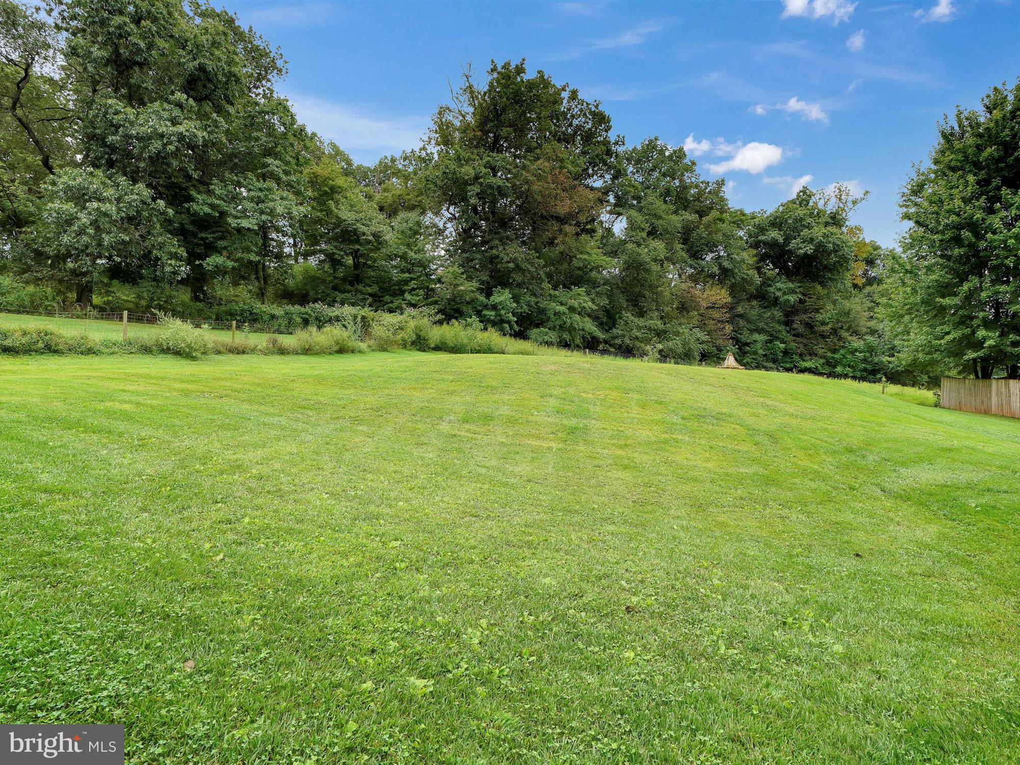 6753 Elizabethtown Road Manheim, PA 17545 - Photo 25 of 30 REAR YARD