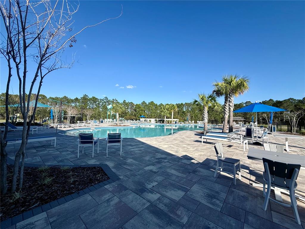2731 House Finch Road Harmony, FL 34773 - Photo 79 of 95 a view of a swimming pool with outdoor seating and plants