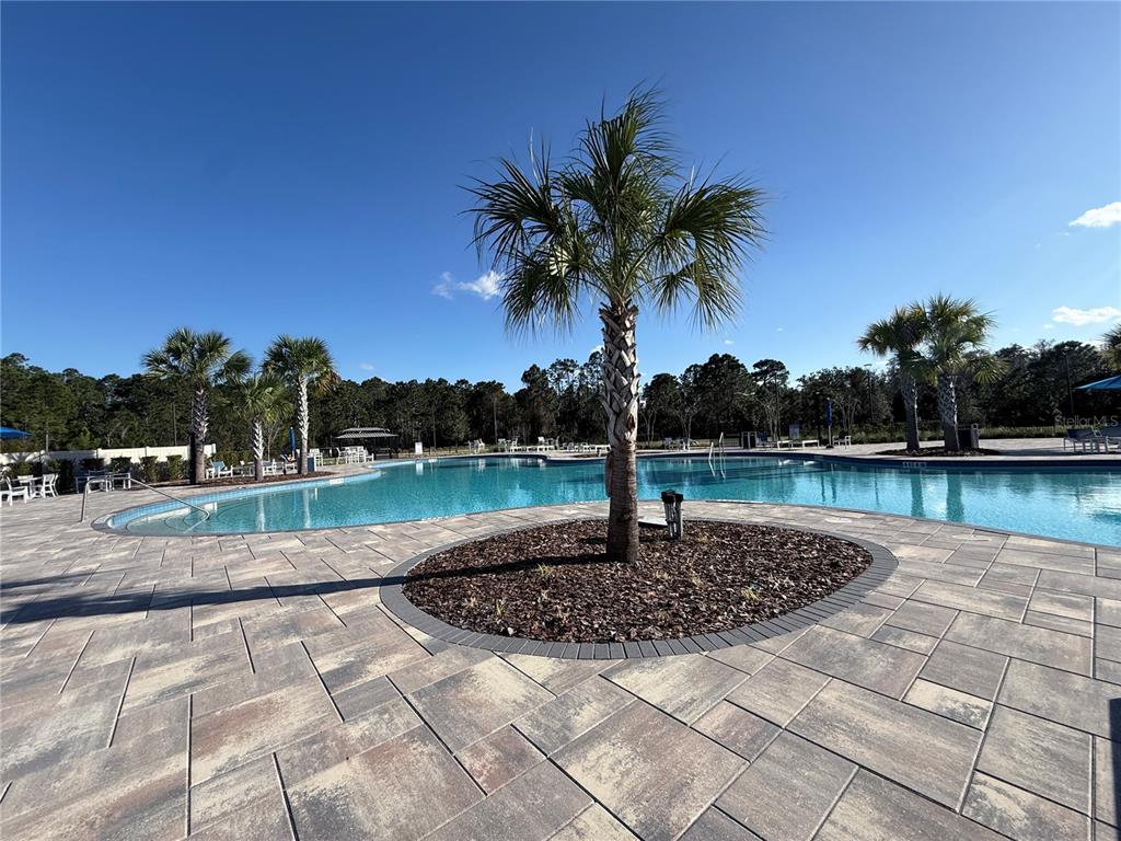 2731 House Finch Road Harmony, FL 34773 - Photo 83 of 95 a front view of a house with a yard