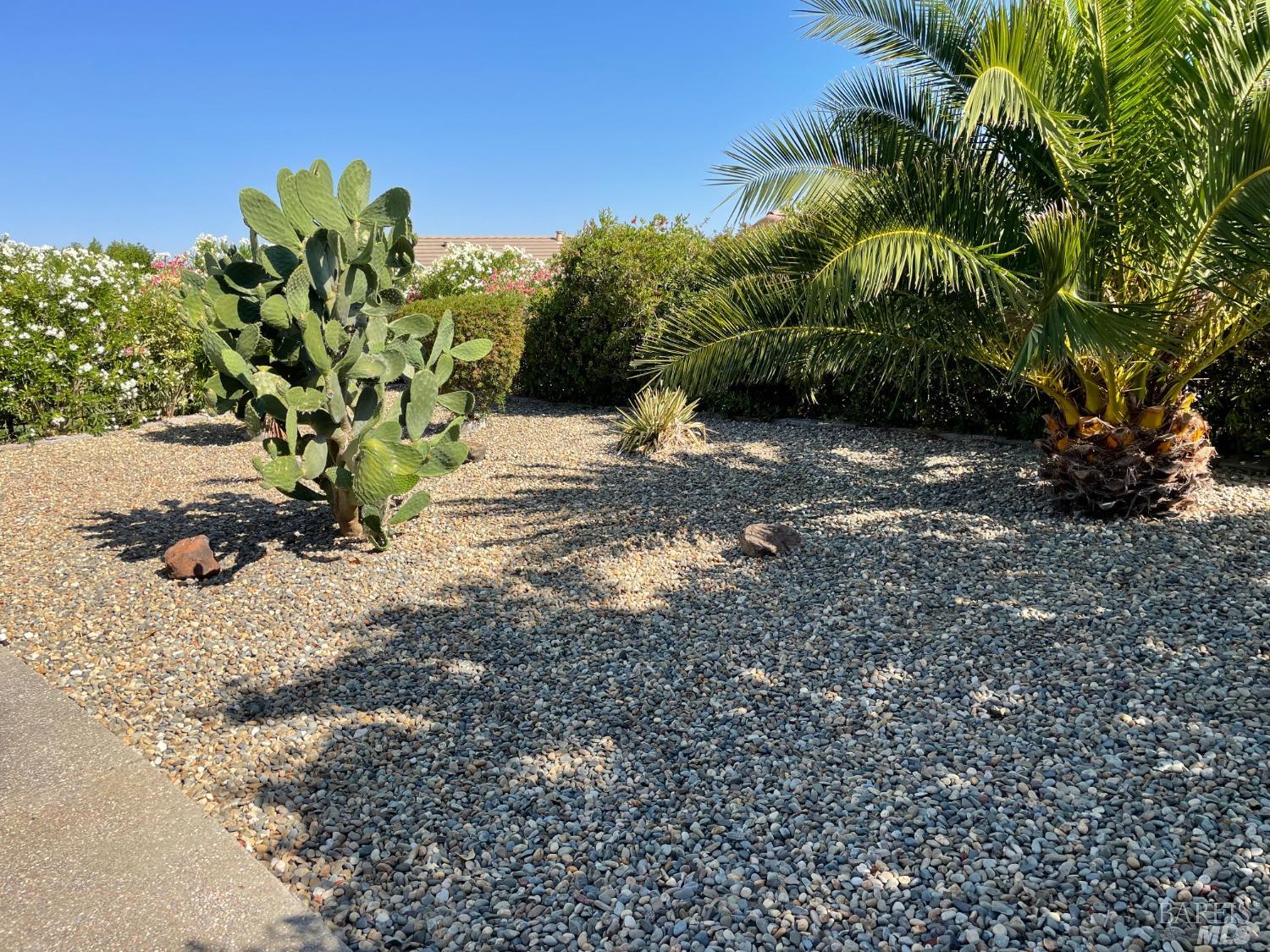 206 Cedar Ridge Drive Rio Vista, CA 94571 - Photo 20 of 41