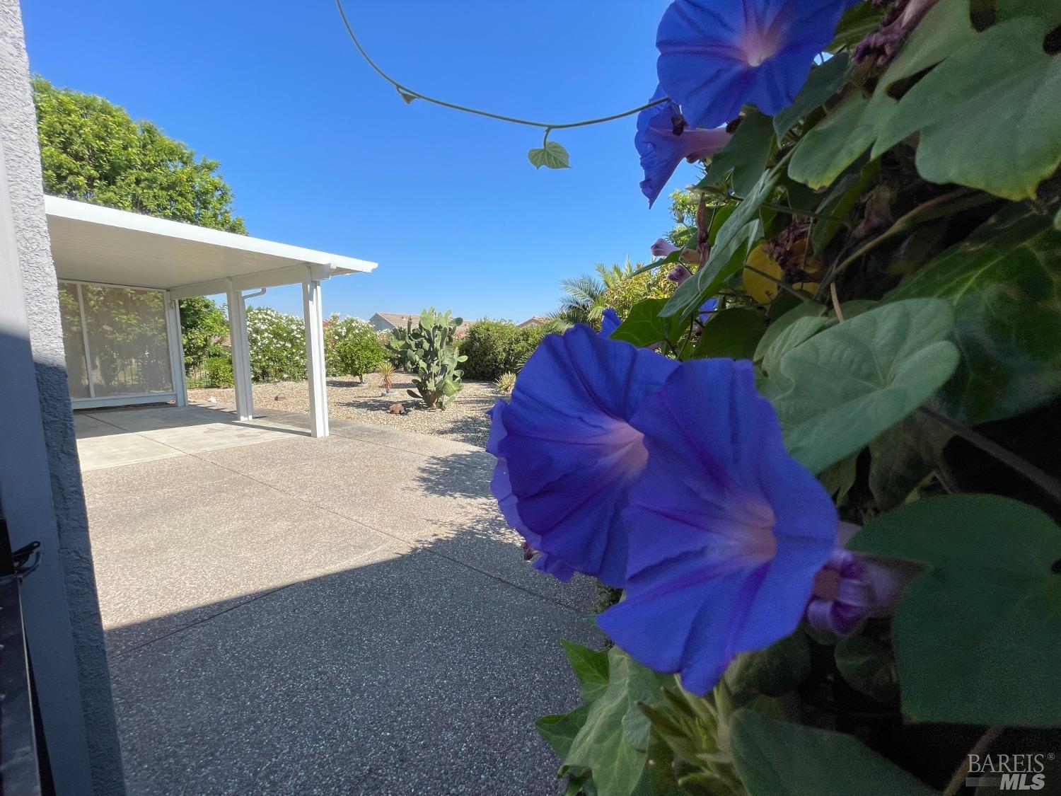 206 Cedar Ridge Drive Rio Vista, CA 94571 - Photo 21 of 41