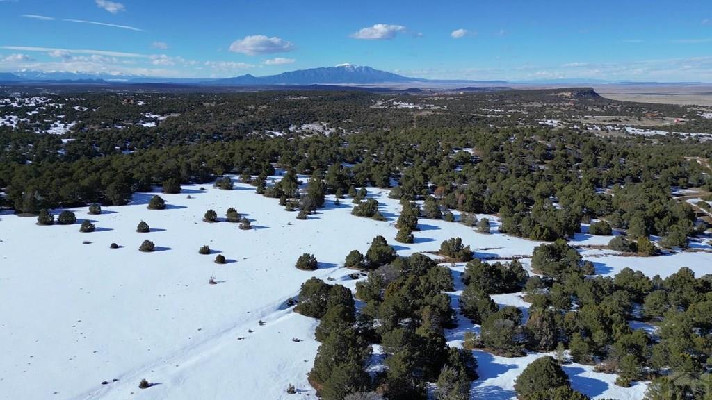 Lot 75 Silver Spur Road Walsenburg, CO 81089 - Photo 7 of 11 Gallery Image 7