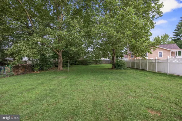 a view of a yard with a tree