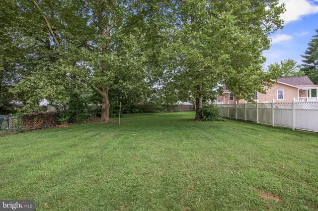 a view of a yard with a tree
