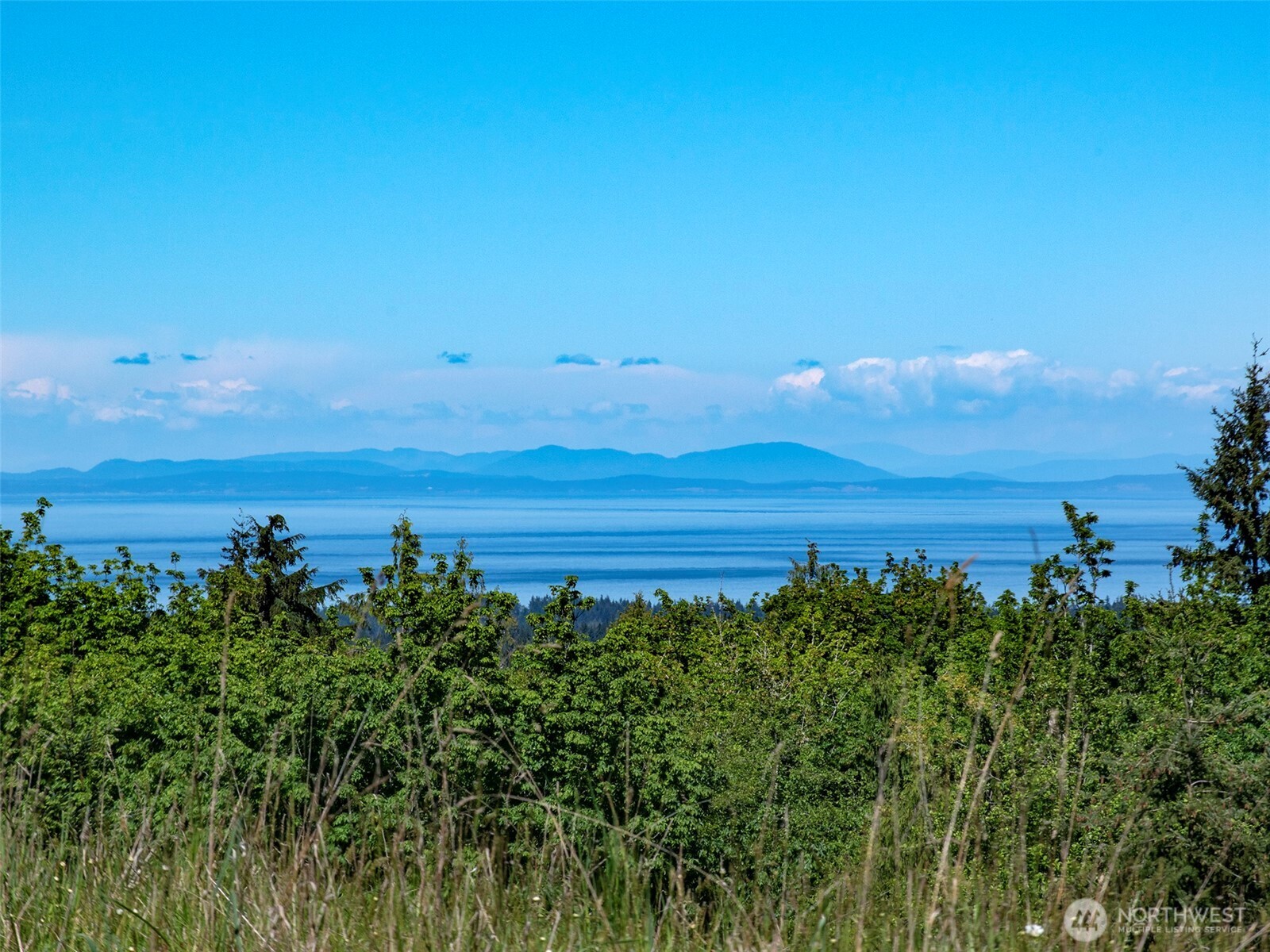 9999 Kruse Road Port Angeles, WA 98362 - Photo 25 of 39