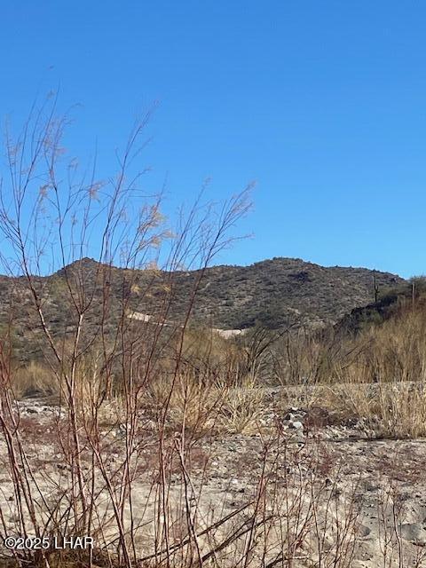 10270008 Signal Road Yucca, AZ 86438 - Photo 3 of 6 IMG_5704