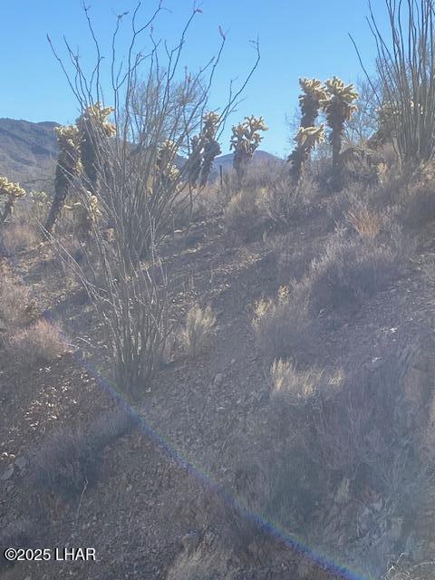 10270008 Signal Road Yucca, AZ 86438 - Photo 6 of 6 End Marker from survey