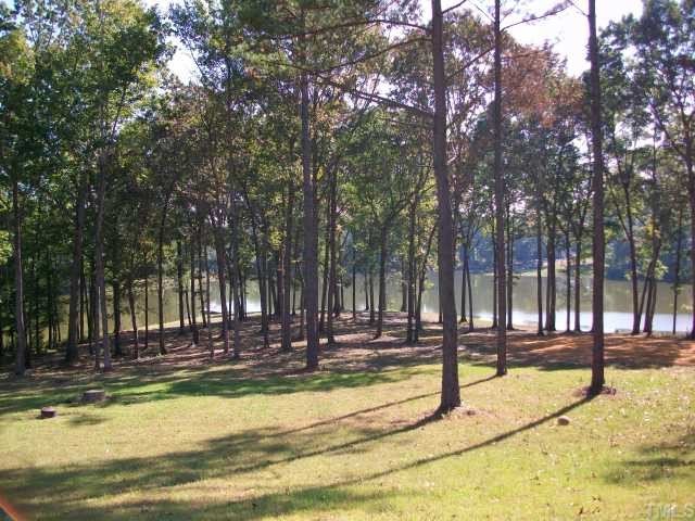 635 Chisenhall Road Angier, NC 27501 - Photo 5 of 12 What a VIEW!!!