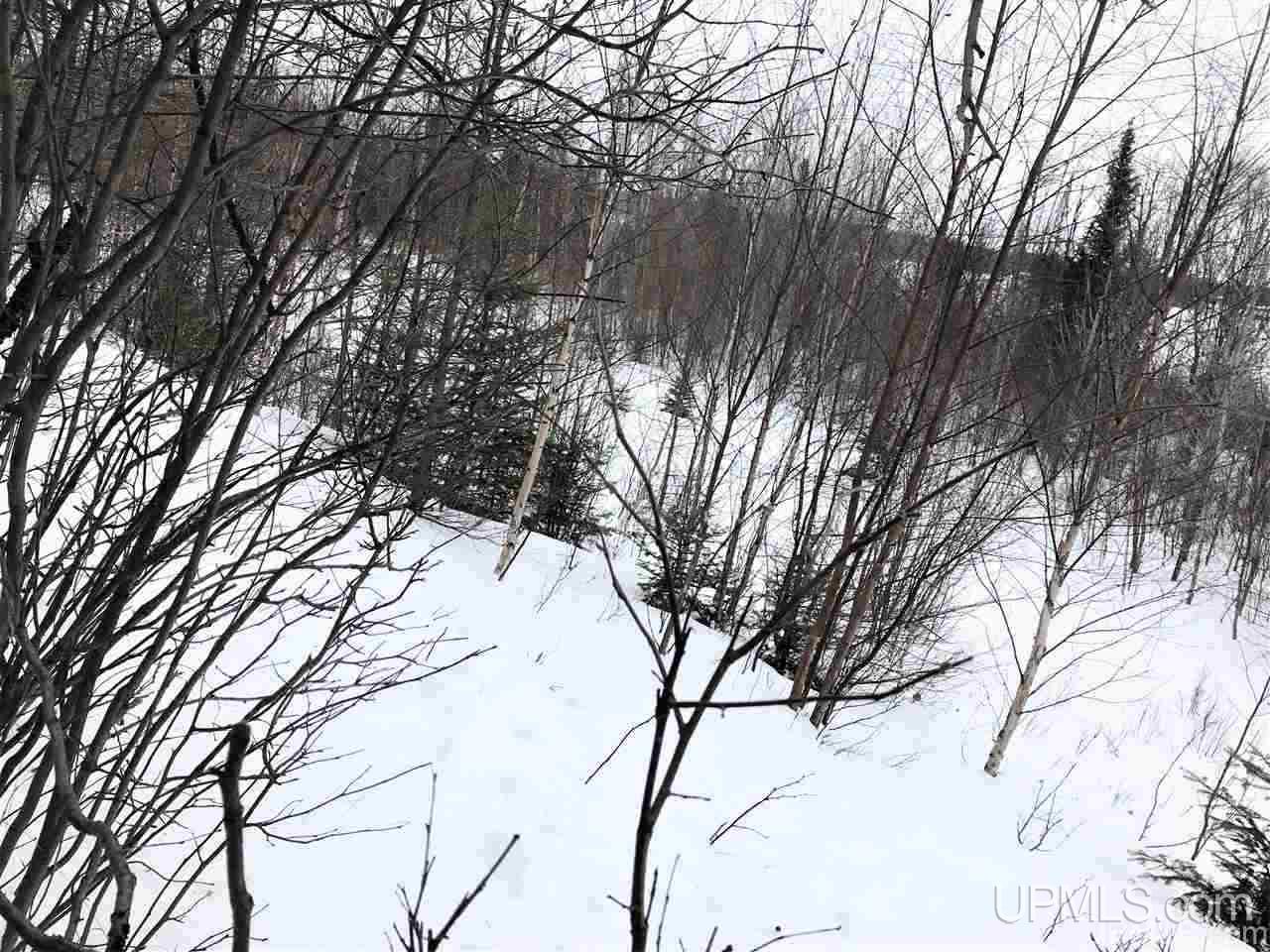Tbd Ridgeview Road, Unit LOTS 34 & 35 Iron River, MI 49935 - Photo 39 of 45 Gallery Image 39