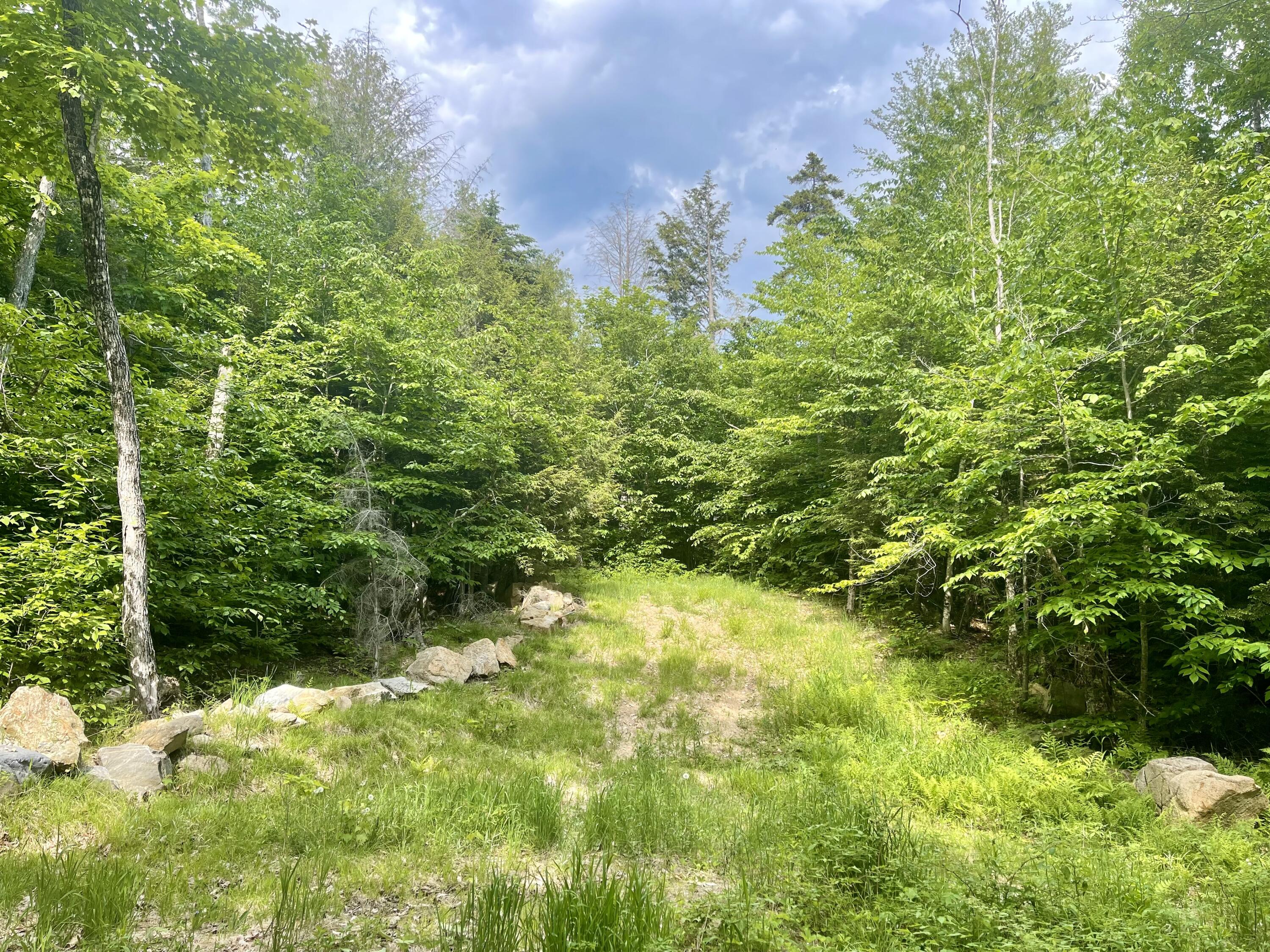 Lot 15-a-1 Scammon Road Greenville, ME 04441 - Photo 22 of 30 IMG_2140