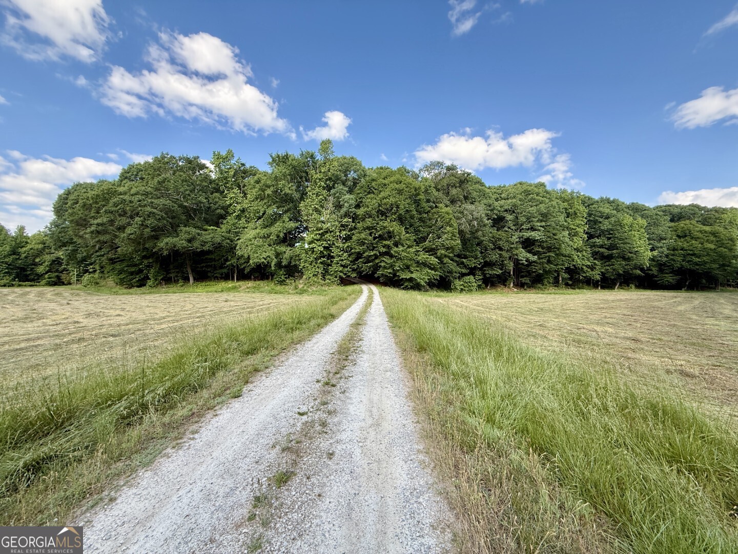 1298 Ray Weaver Road Canon, GA 30520 - Photo 31 of 40
