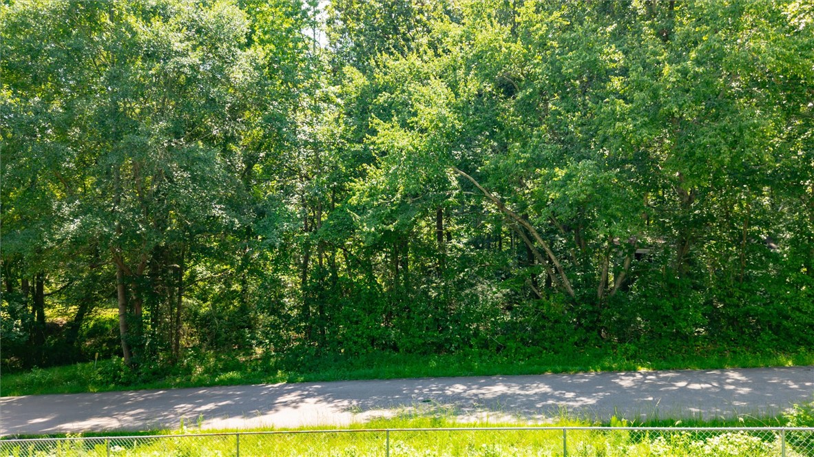 100 Greenvalley Road Starr, SC 29684 - Photo 3 of 11