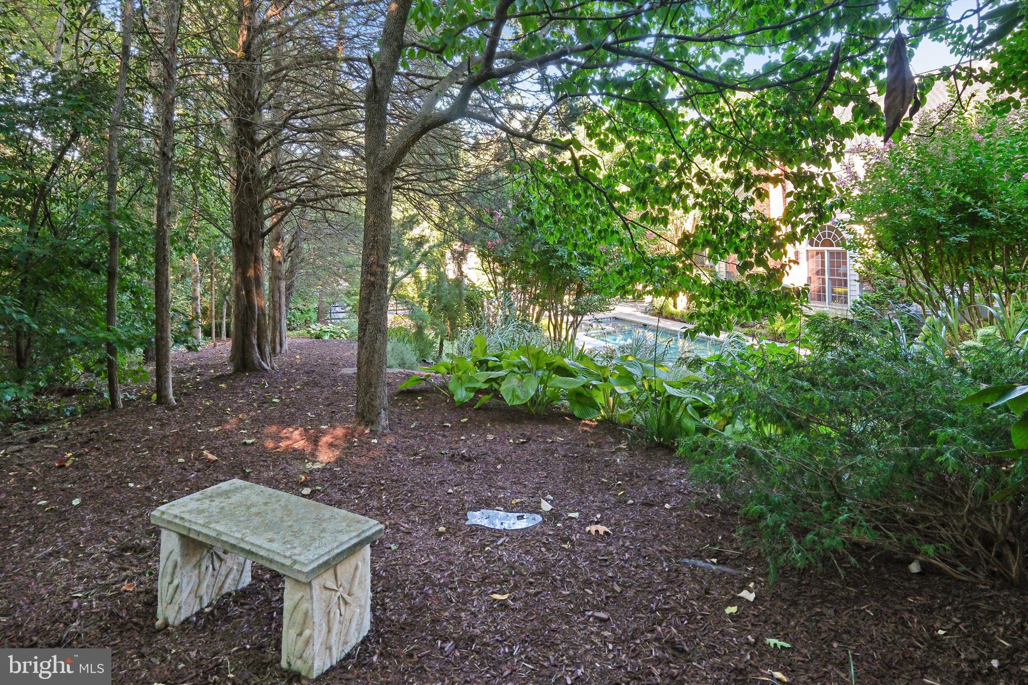 10405 Sandringham Court Potomac, MD 20854 - Photo 81 of 85 a view of a yard with plants and trees