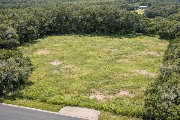 $425,000 | 17385 Livingston Avenue, Lutz, FL 33559