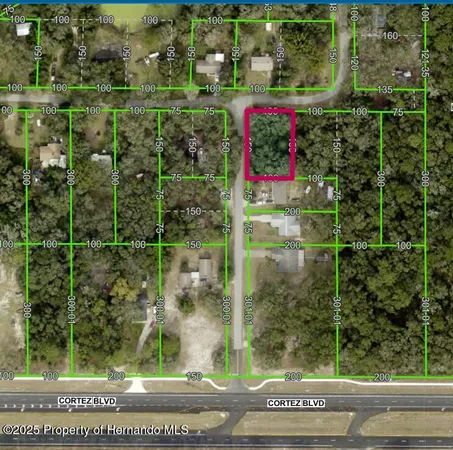 $17,000 | Lot 175 Madison Avenue, Dade City, FL 33523