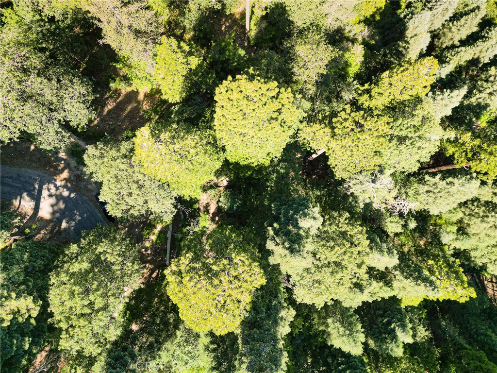 746 Blue Ridge Drive Skyforest, CA 92385 - Photo 13 of 18 Birds eye view of the upper portion of the parcel via drone.