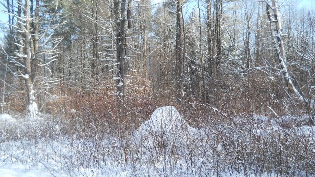 0 Hidden Heights Road Chester, VT 05143 - Photo 14 of 25