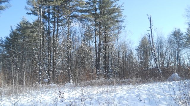 0 Hidden Heights Road Chester, VT 05143 - Photo 7 of 25