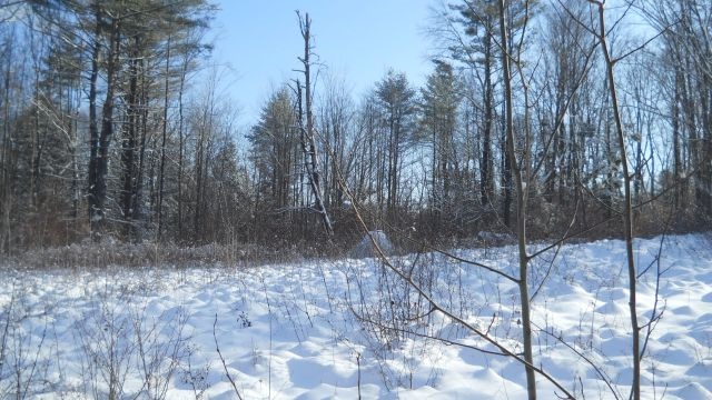 0 Hidden Heights Road Chester, VT 05143 - Photo 8 of 25
