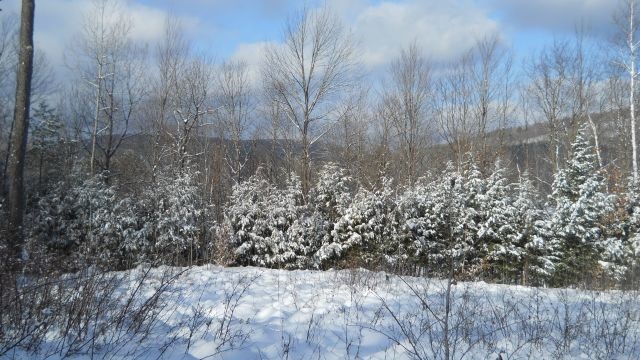 0 Hidden Heights Road Chester, VT 05143 - Photo 9 of 25