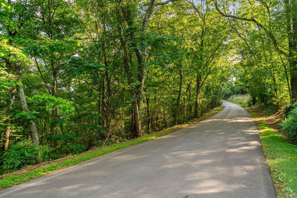 0 Mt Alto Road Southwest Rome, GA 30165 - Photo 2 of 12