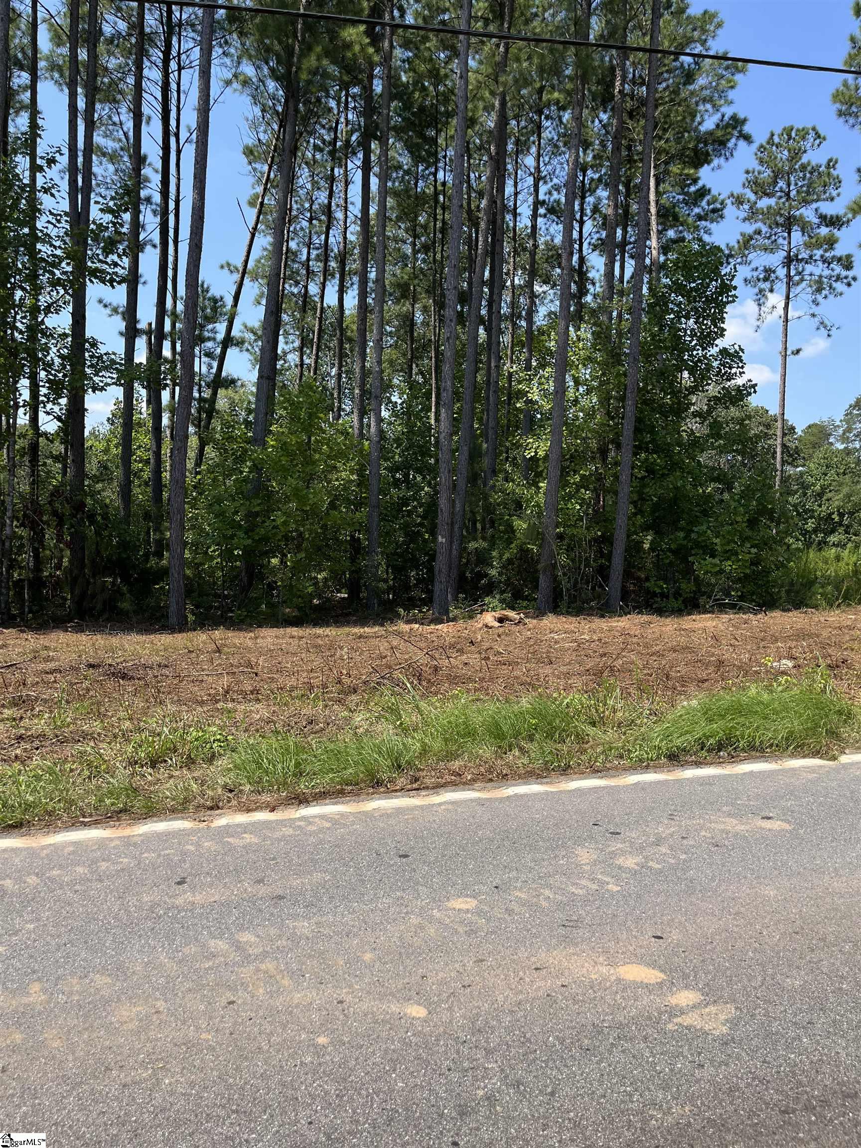 812 Kist Road Greer, SC 29651 - Photo 2 of 2 Gallery Image 2
