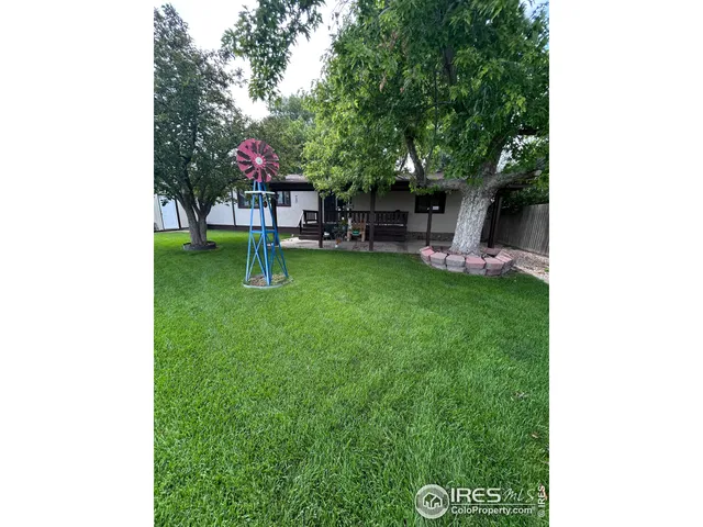 a backyard of a house with plants and large tree