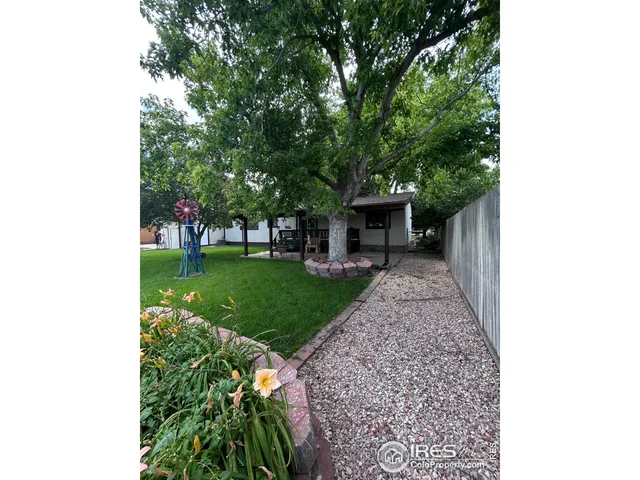 a view of a garden with a tree