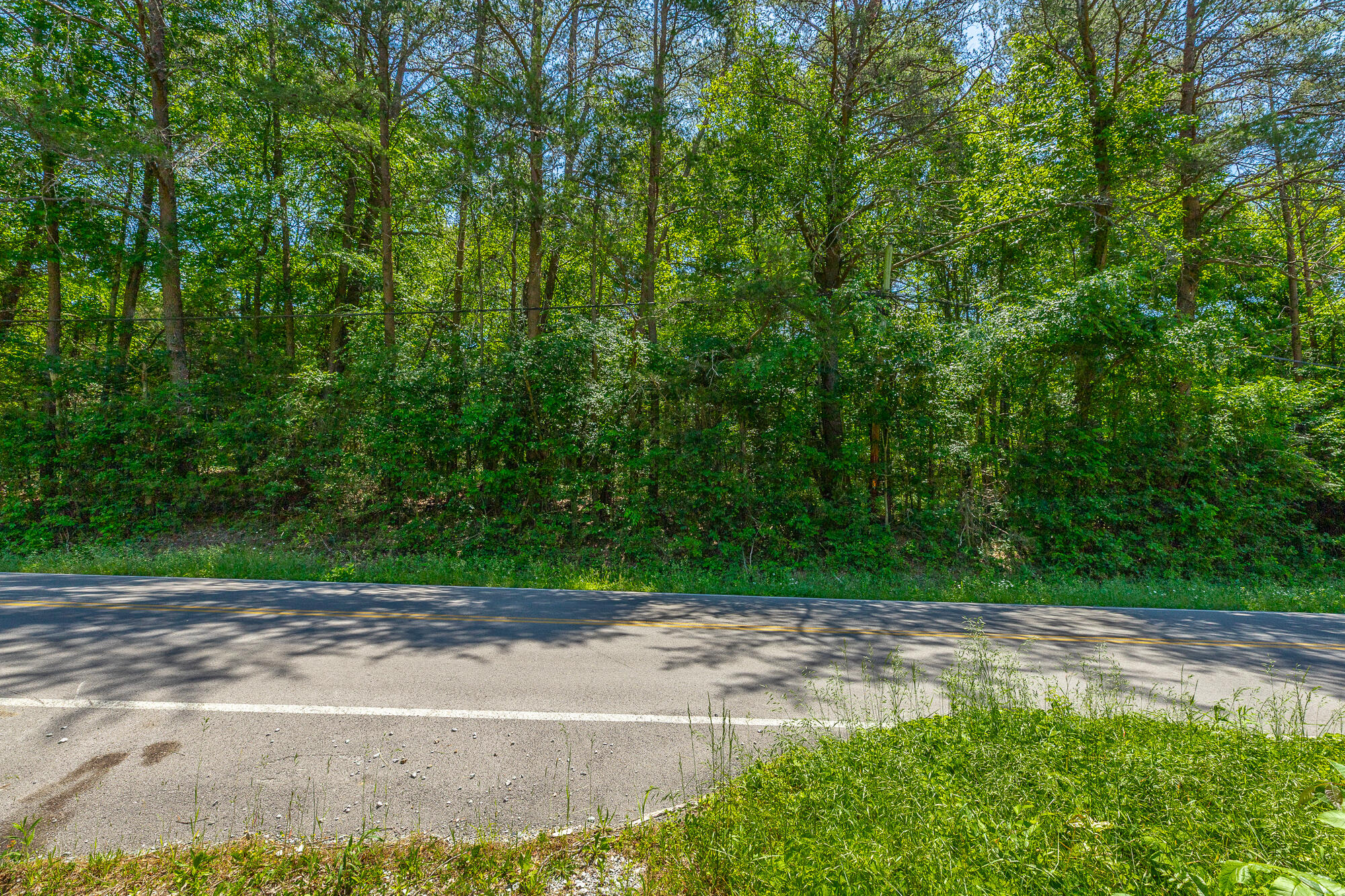 1655 West Cove Road Chickamauga, GA 30707 - Photo 20 of 62 1655 W Cove Road HD-71