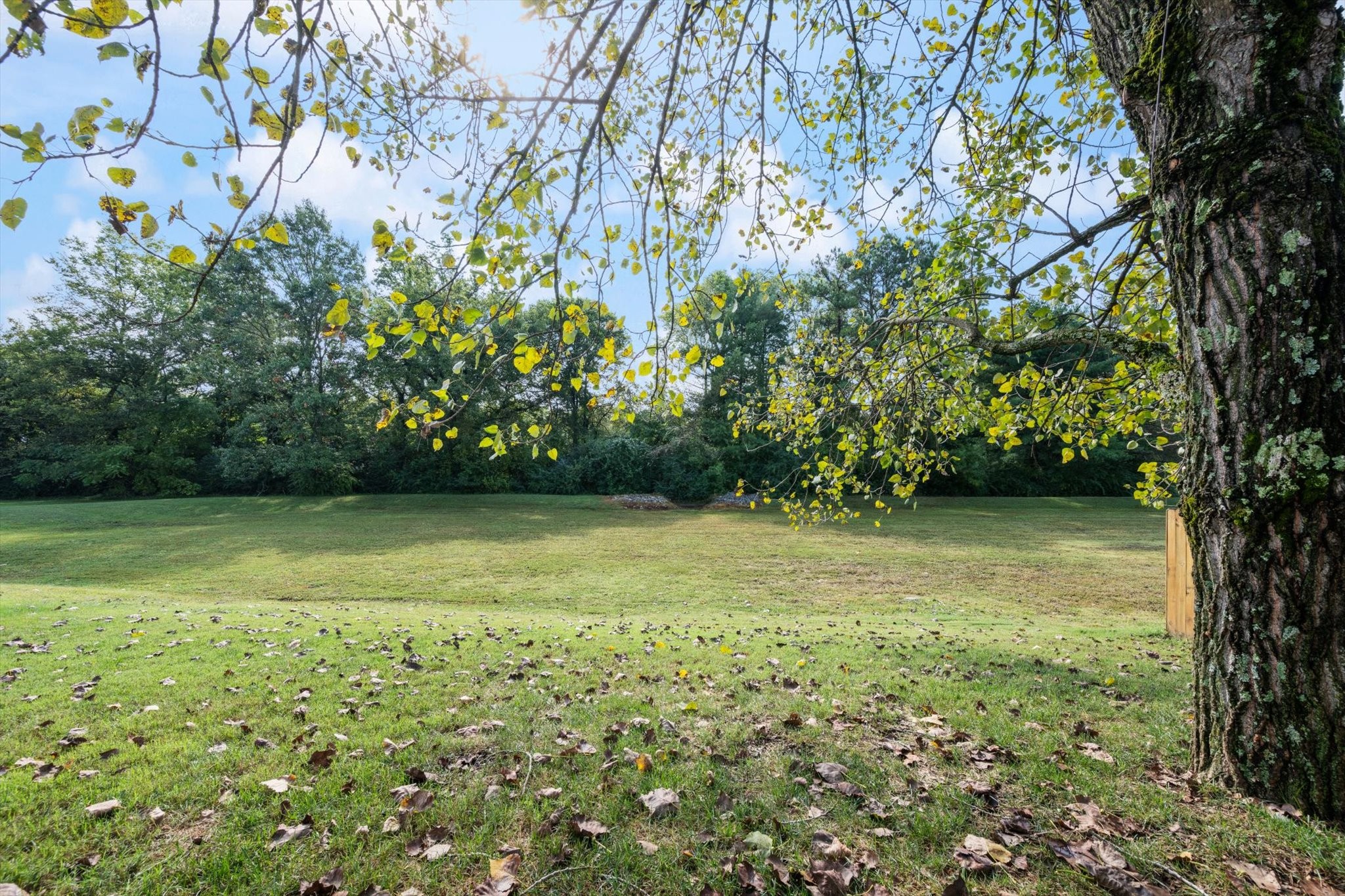 920 Carnation Drive Spring Hill, TN 37174 - Photo 26 of 27 a view of a yard