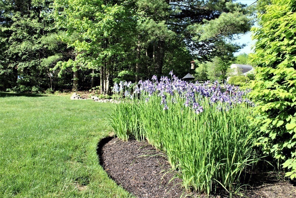 7 Michael Road Franklin, MA 02038 - Photo 3 of 26 a garden with lots of trees